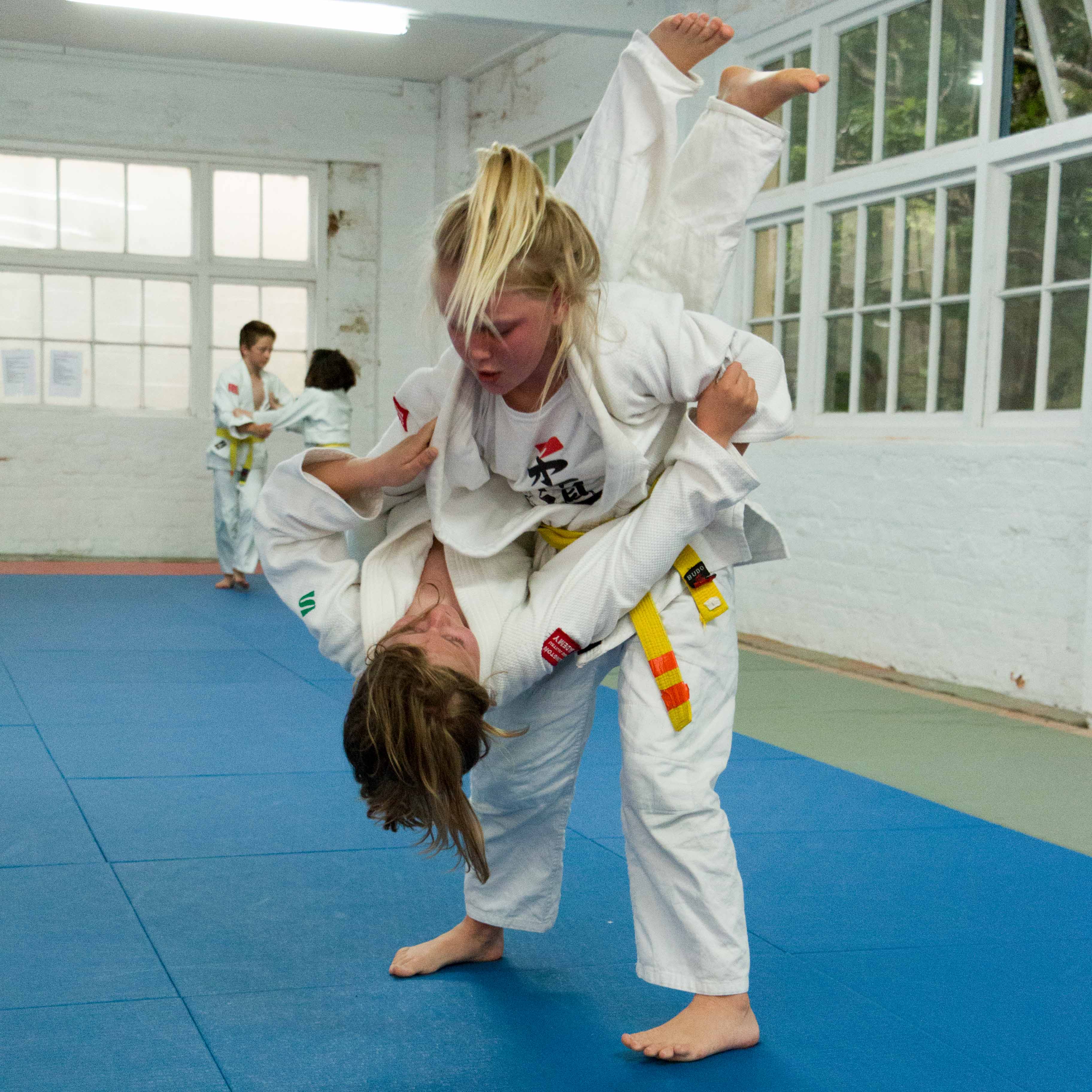 Kids Judo Classes 2016 - Wellington Judo